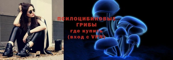тгк Армянск